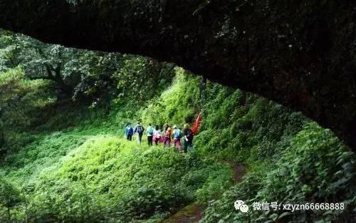 悟空除魔